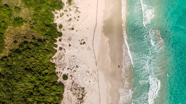 dron, widok z lotu ptaka czarująca biała plaża z czystą niebieską wodą - romance tropical climate ideas travel destinations zdjęcia i obrazy z banku zdjęć