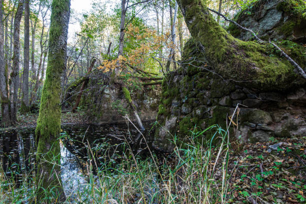 istock Old historical abandon bridge over small river in autumn day, Latvia 1345983879