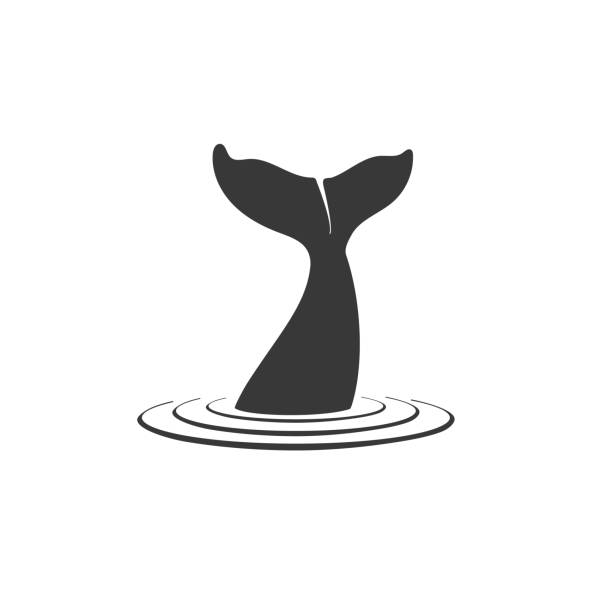 ilustrações, clipart, desenhos animados e ícones de ícone gráfico da cauda de baleia. sinal de cauda de baleia no círculo isolado em fundo branco. símbolo da vida marinha. ilustração vetorial - whale
