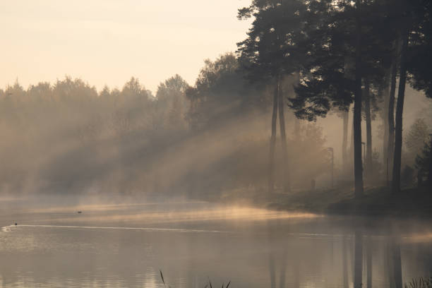 istock Foggy autumn morning on the lake. 1345986400