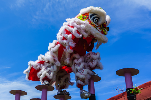 Lion dance and confetti during Chinese New Year celebration