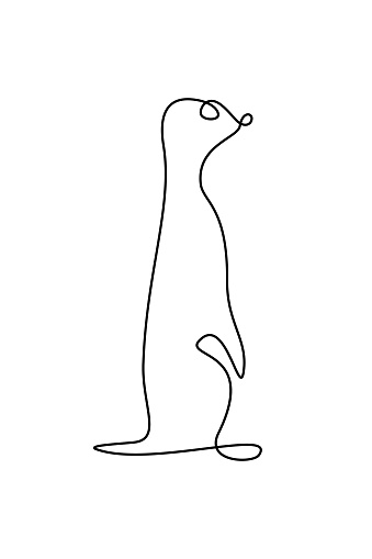 Funny meerkat in continuous line art drawing style. Suricate minimalist black linear design isolated on white background. Vector illustration