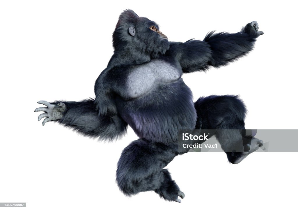 3D-Illustration schwarzer Gorilla auf weiß - Lizenzfrei Menschenaffe Stock-Foto