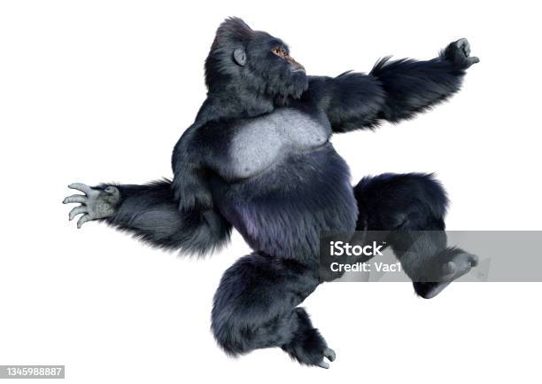 3dillustration Schwarzer Gorilla Auf Weiß Stockfoto und mehr Bilder von Menschenaffe - Menschenaffe, Neuweltaffen und Hundsaffen, Dreidimensional