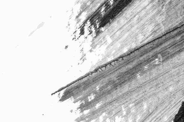 istock black white abstract acrylic painting color texture on white paper background by using rorschach inkblot method 1345992508