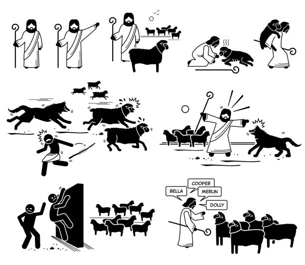 Jesus Christ The Good Shepherd. Vector illustrations depict Jesus Christ rescue and protect his sheep. Hire hand running away from wolf and thieves climbing over the wall to steal sheep. Sheep naming. shepherd sheep lamb bible stock illustrations