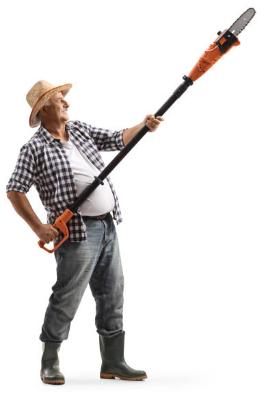 Full length shot of a mature man using an electric tree pruner Full length shot of a mature man using an electric tree pruner isolated on white background power tool photos stock pictures, royalty-free photos & images