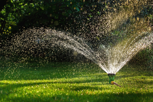 Lawn sprinkler - spraying water over green grass. Floral background. Nature.