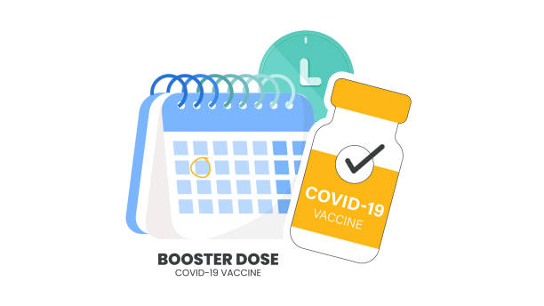 Illustrator vector of Vaccine bottle, syringe injection and calendar. Third booster shots vaccine after primer dose. Booster injection to increase immunity or COVID-19  vaccine booster dose concept. Illustrator vector of Vaccine bottle, syringe injection and calendar. Third booster shots vaccine after primer dose. Booster injection to increase immunity or COVID-19  vaccine booster dose concept. booster dose stock illustrations