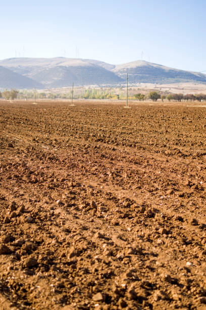 istock Garden soil texture background, humus soil 1345996654