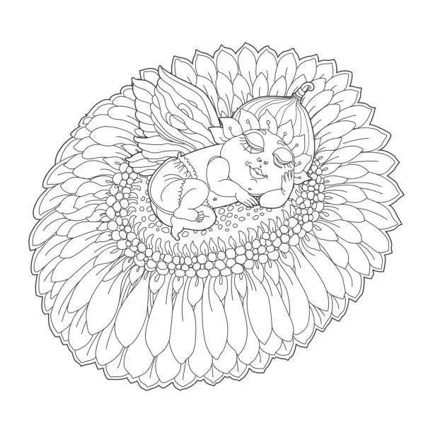 Vector illustration of Vector fantasy pixie baby with butterfly wings on a fairy tale chamomile flower. Black and white Adults and children coloring book page