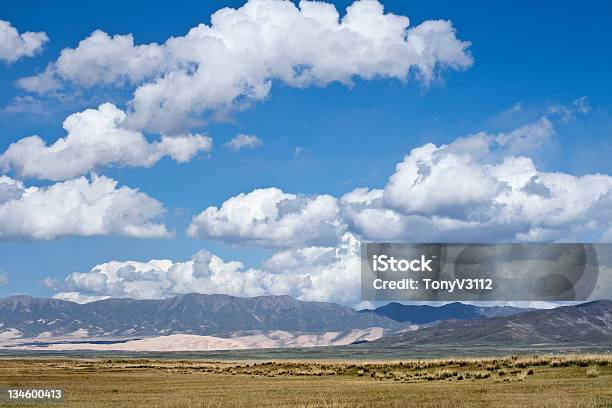 Il Bellissimo Ampio Erba Terra Di Qinghai - Fotografie stock e altre immagini di Altopiano - Altopiano, Ambientazione esterna, Ambientazione tranquilla