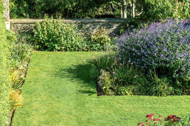 istock Garden lawn and shrub border 1346006343