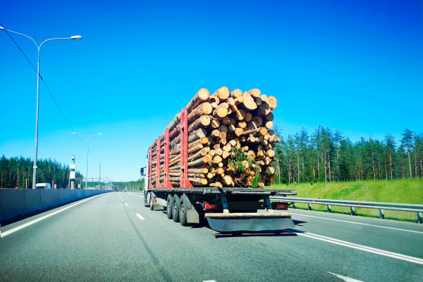Red Log truck is driving on State Highway.