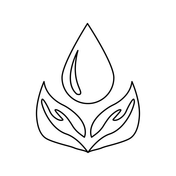 ilustrações, clipart, desenhos animados e ícones de ícone de conservação da natureza, duas folhas e uma gota de água, ilustração vetorial - silhouette water computer icon cosmetics