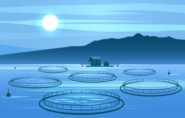 illustrations, cliparts, dessins animés et icônes de élevage de poissons en eau libre - ferme piscicole