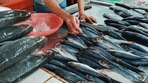 istock Fishmonger in morning wet market 1346013996