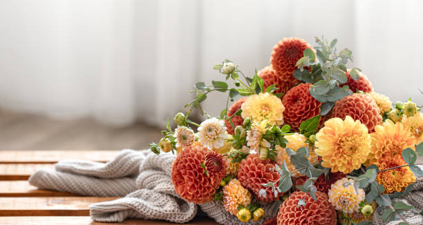 un ramo de crisantemos amarillos y naranjas sobre un fondo borroso. - chrysanthemum fotografías e imágenes de stock