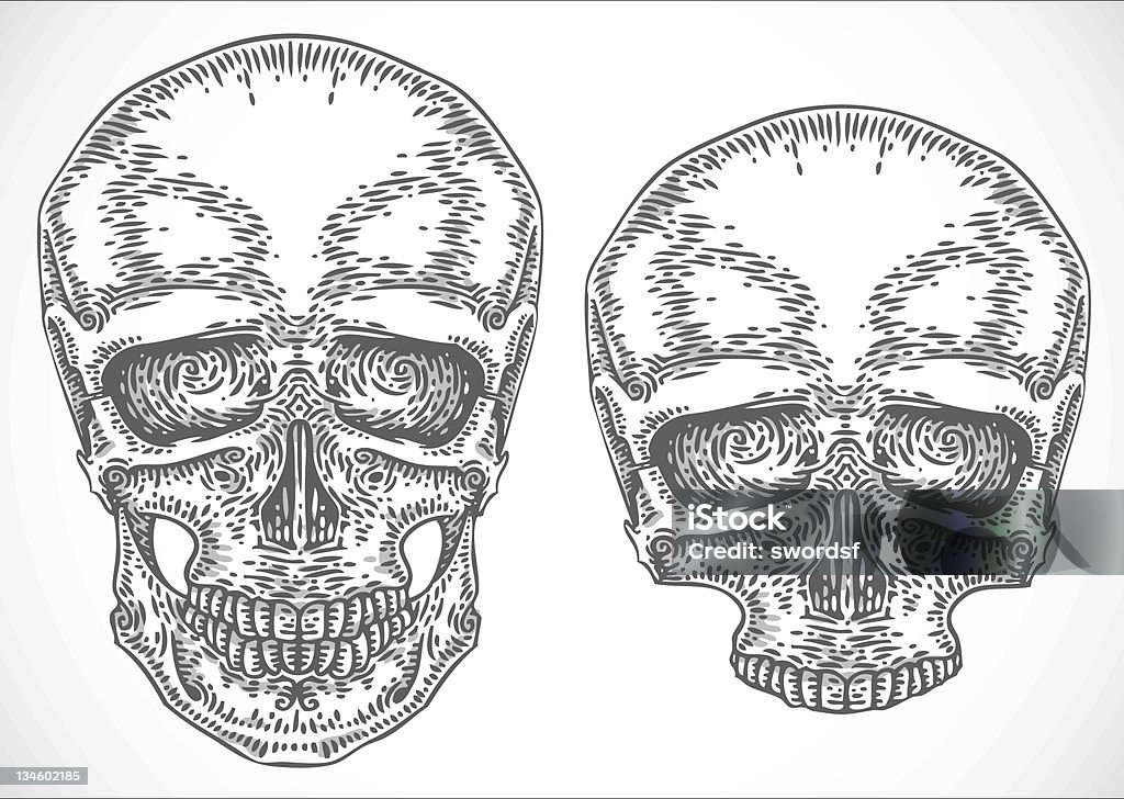 engraved skulls two vector engraved illustrations of a human skull Black Color stock vector