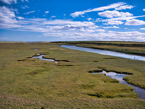 Coastal wetlands in Northumberland, England, UK. Taken on a sunny day in summer with blue sky and white clouds.