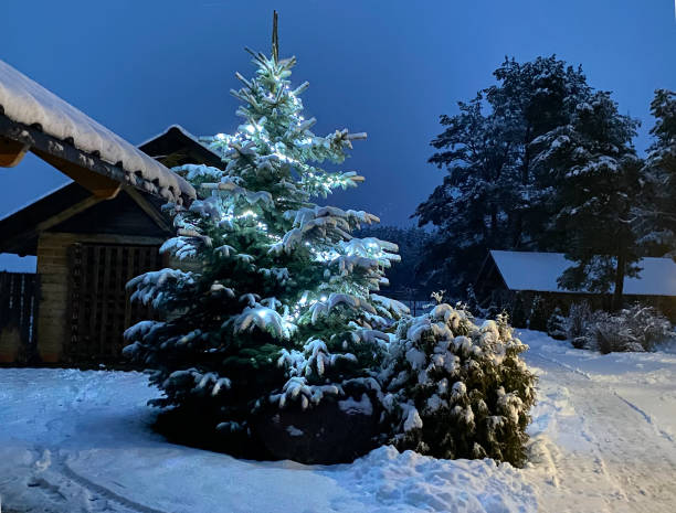 istock Winter landscape with snow and sun 1346024156