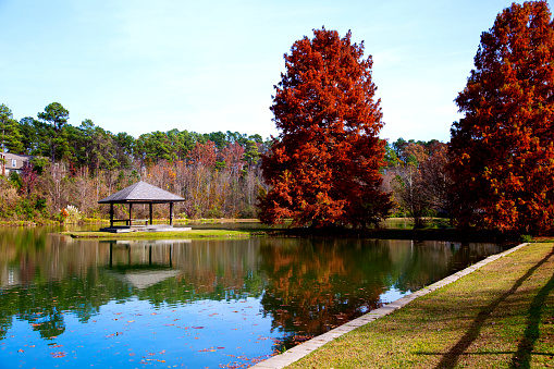 Autumn reflections in Augusta, Georgia