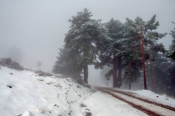 istock Snowy natural landscapes. 1346025511