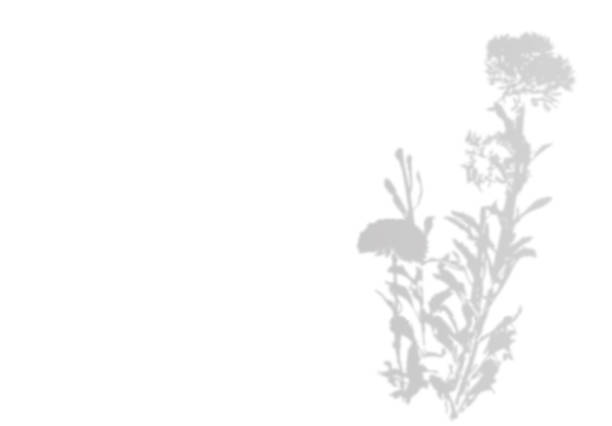 istock Blurred shadow of garden flowers. Natural soft effect. Realistic Grey silhouette with empty space. 1346027870