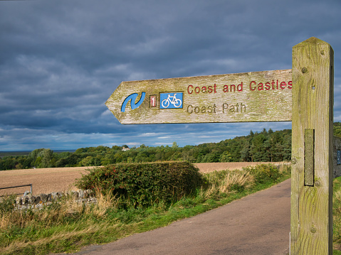 A wooden sign post points the way of the Coast and Castles cycle route and Northumberland Coast Path. Taken in sunshine against a cloudy sky in autumn.