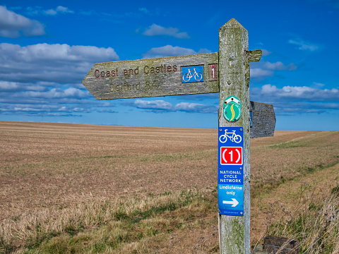 A wooden sign post points the way of UK National Cycle Route 1 and the Coast and Castles route in Northumberland, UK. Behind the sign is a field of crop stubble.