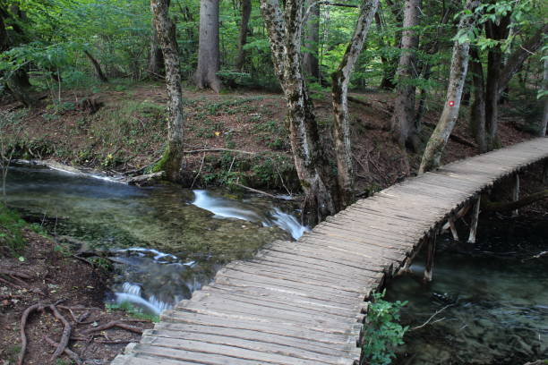 istock Plitvice Lakes National Park 1346030702