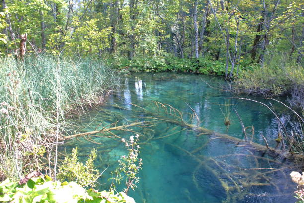 istock Plitvice Lakes National Park 1346030744