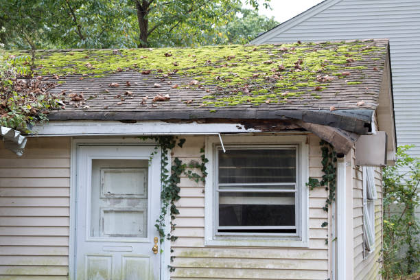 istock Abandoned house damaged rain gutter, moss on roof 1346033451
