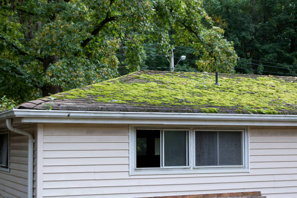 Abandoned house moss on roof