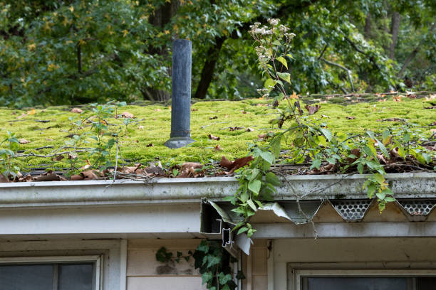 istock Abandoned house neglected rain gutter, moss on roof 1346033473