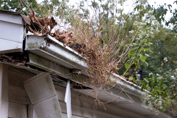 istock Abandoned house neglected rain gutters 1346033484