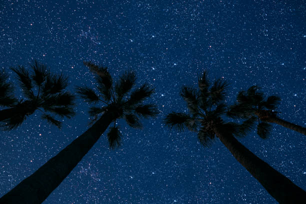 istock forest. backgrounds night sky with stars and moon and clouds. 1346037635