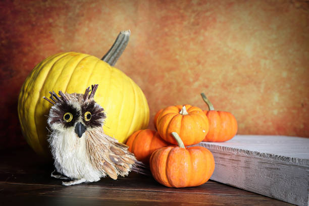 istock A background with pumpkins and an owl 1346037858