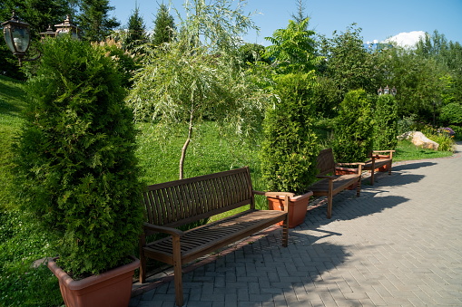 Empty park bench in public park with sunlight reflection