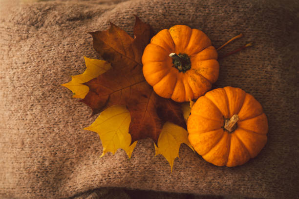 maglioni e due zucche con foglie autunnali. dettagli di natura morta negli interni della casa. - squash pumpkin orange japanese fall foliage foto e immagini stock