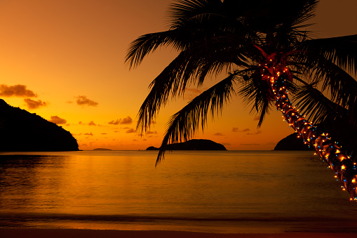 Christmas lights on a palm tree at the Caribbean beach at sunset - Christmas in the Caribbean