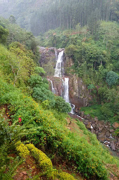 Photo of The waterfall and green landscape, Nuwara Eliya, Sri Lanka
