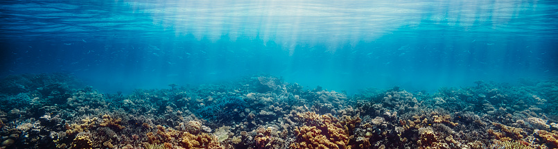An underwater view of a coral reef illuminated by sun rays. The clear blue water provides visibility to observe the scene. The coral reef features brain coral formations, displaying their distinct patterns. No fish are visible in the photograph.