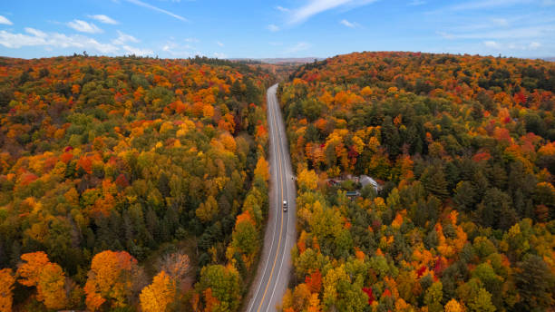 istock Aerial view of fall colours. in Quebec 1346040836