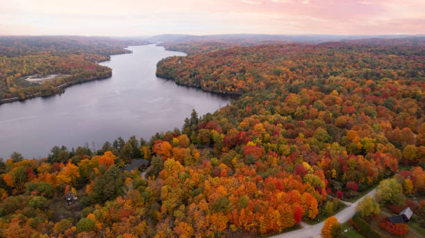 istock Aerial view of fall colours. in Quebec 1346040855