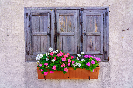 Windows with geraniums on the half-timbered house,Alsace, France
