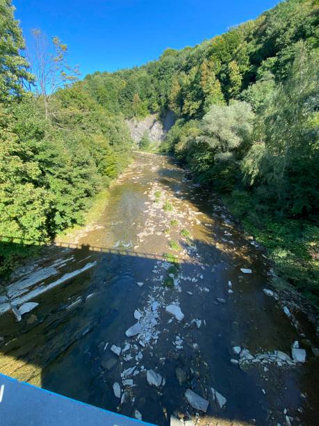 istock rocky mountain river Wislok with clear water surrounded by forests and mountains 1346042367