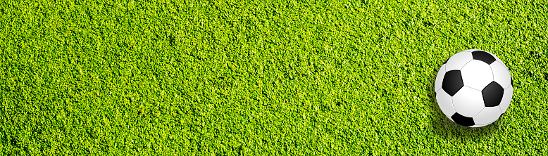 Panorama soccer ball on grass