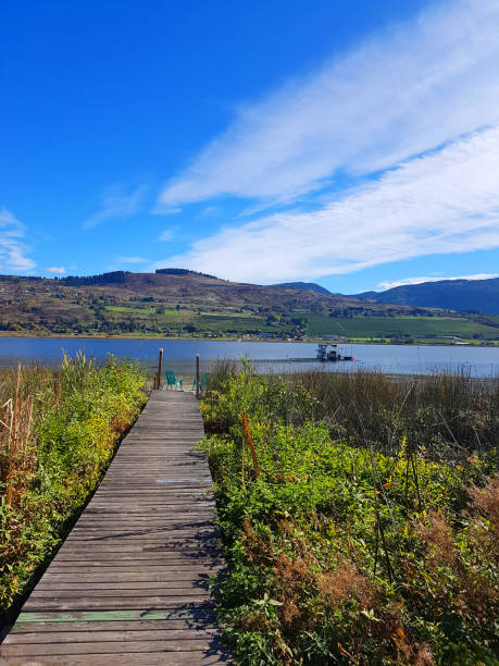 istock Boardwalk And Wetlands With Orchards In The Background Vernon BC 1346047367
