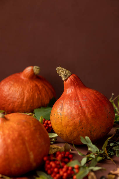 concepto otoñal con una calabaza sobre fondo oscuro con hojas otoñales. celebrando halloween y acción de gracias - five objects audio fotograf�ías e imágenes de stock